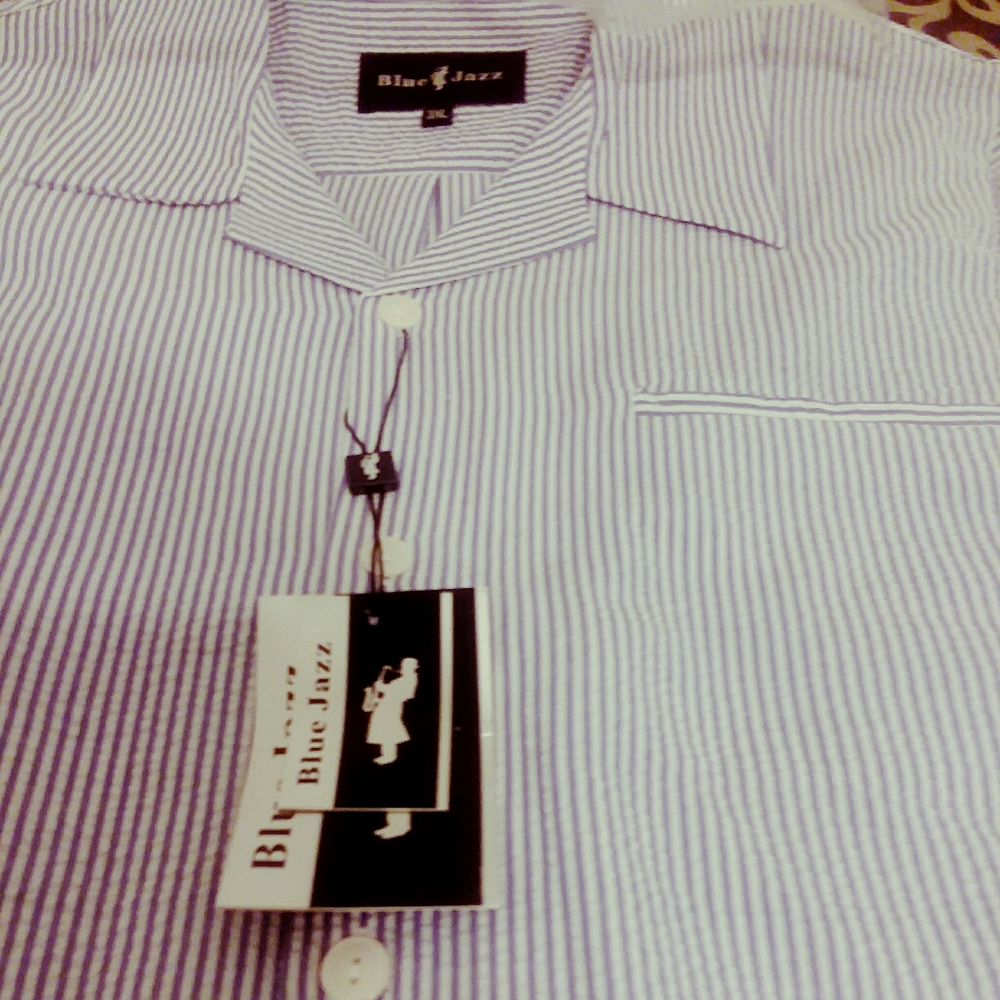Men's seersucker shorts